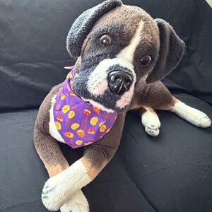 New Purple, Orange, and Yellow  Dog Bandanna